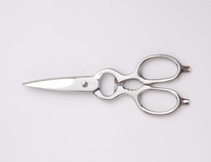 Polished Stainless Steel Japanese Utility Scissors