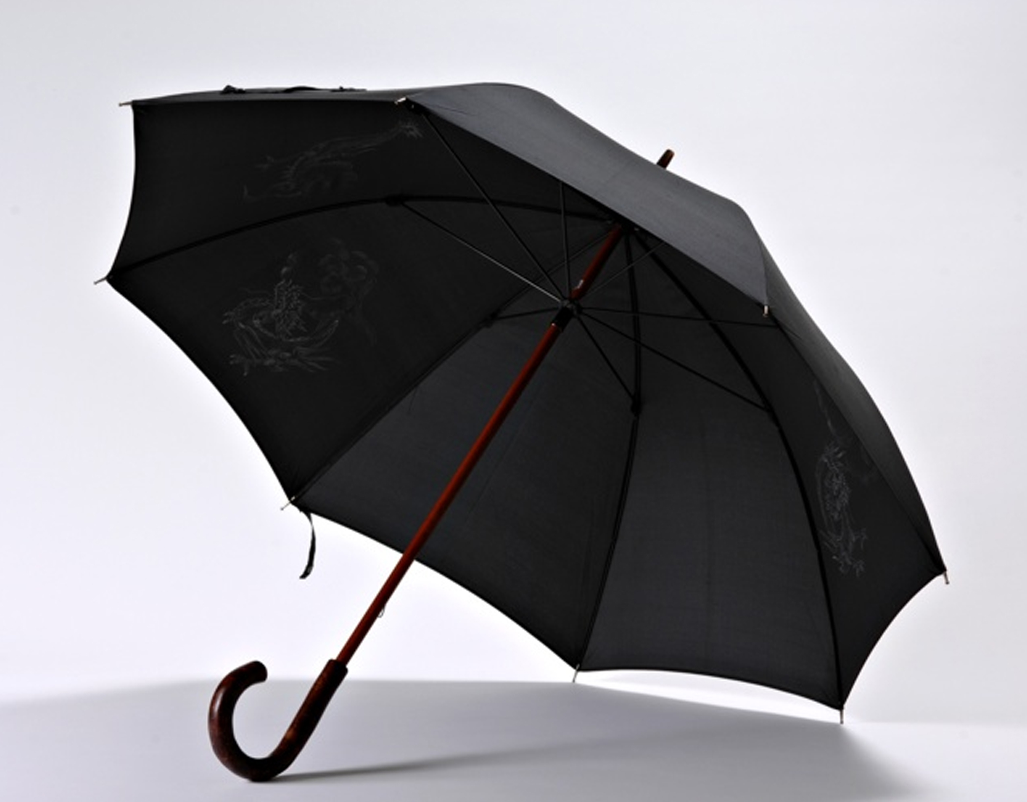 black umbrella tours