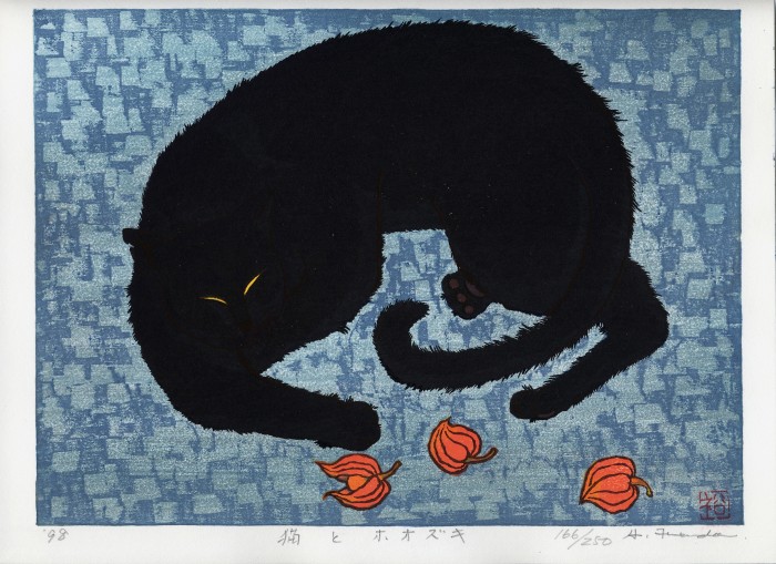 black cat with Chinese lantern plant