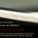 A DOTANUKI CRAB CLAW O-WAKIZASHI