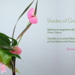 View Details of Shades of Green – An Ikebana Arrangment by Donna Canning