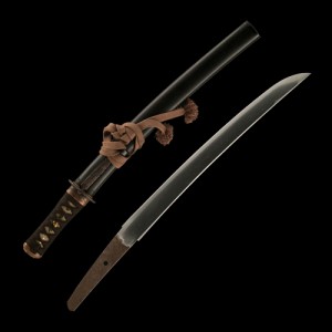 Unique Japan Late-Edo Tiger Wakizashi (Saya and Blade)