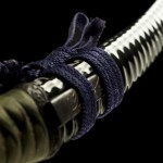 ujwa051 – A YASUHIRO DRAGON WAKIZASHI (UNIQUE JAPAN)