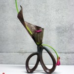 Ikebana Artistry by Donna Canning (Hasami, scissors)