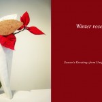 Winter rose – Ikebana by Donna Canning