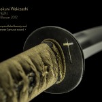 A Nanki Shigekuni Wakizashi