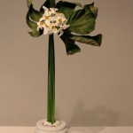 Ikebana 246c 0812 rev 700