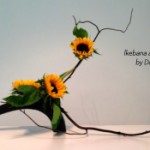 Ikebana artistry by Donna Canning Tab