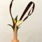 Ikebana 267 A5 60