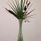 Ikebana 283 A5 60