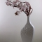 Ikebana 288 A5 60