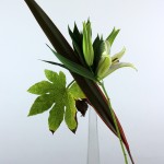 Ikebana 307 A5 700