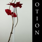 Ikebana Motion Gallery by Donna Canning