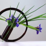 Ikebana Artistry by Donna Canning