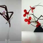 Ikebana-Stargazer-Tsuboniwa