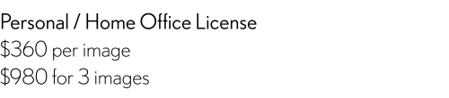 Personal and Small Business License