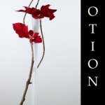 Ikebana-Motion-Gallery-by-Donna-Canning-2