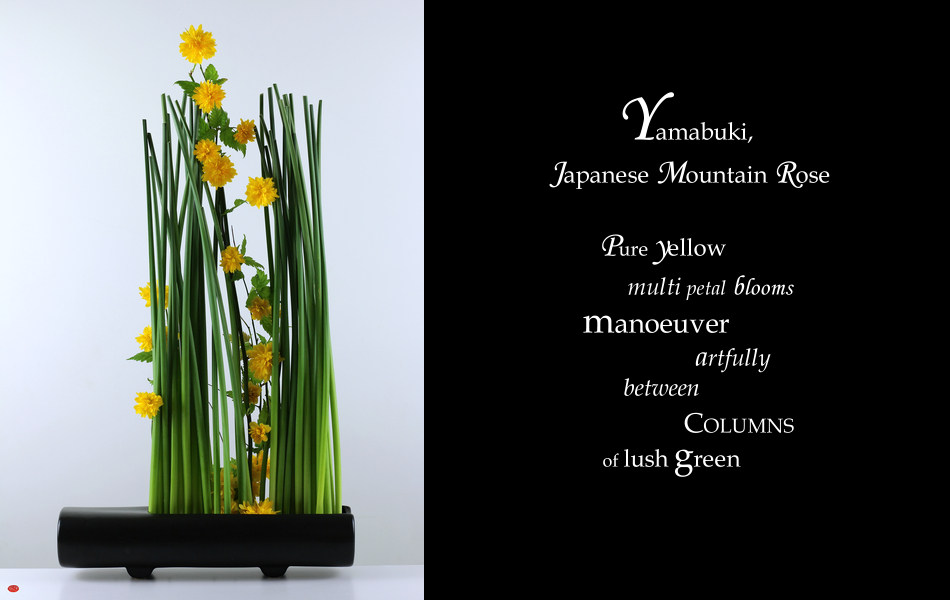 Gallery 036 Ike 299 A5b