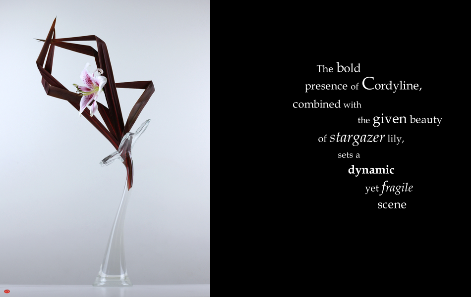 Gallery 090 Ike 318 A5